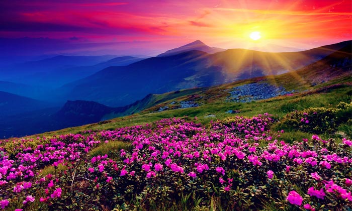 beautiful view in rishikesh: Dehradun to Rishikesh taxi